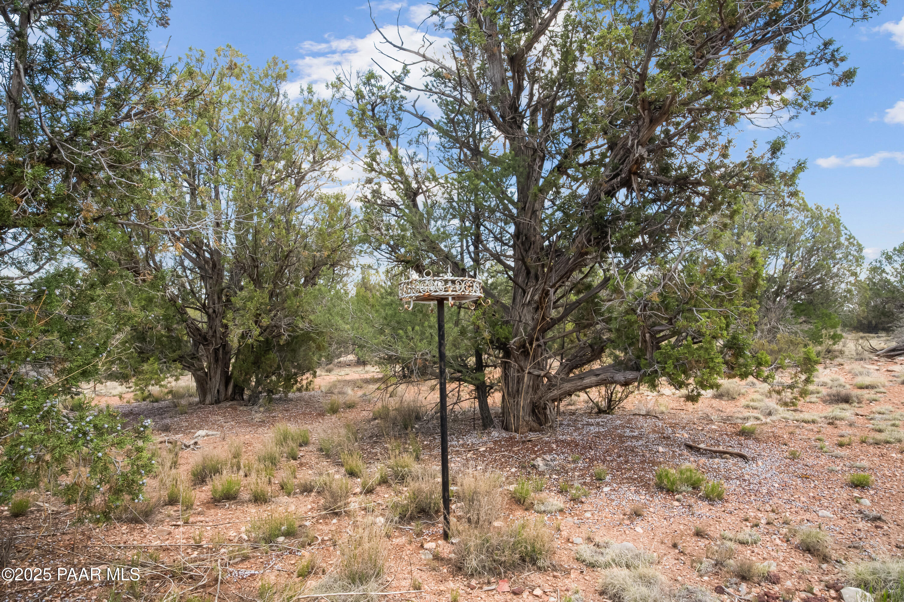 Listing images