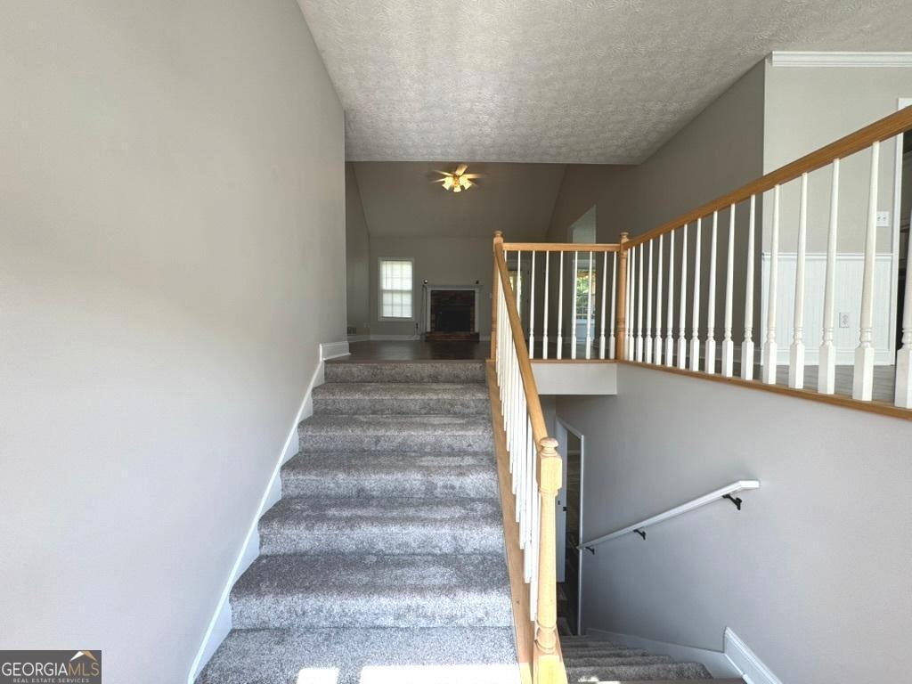 Listing images