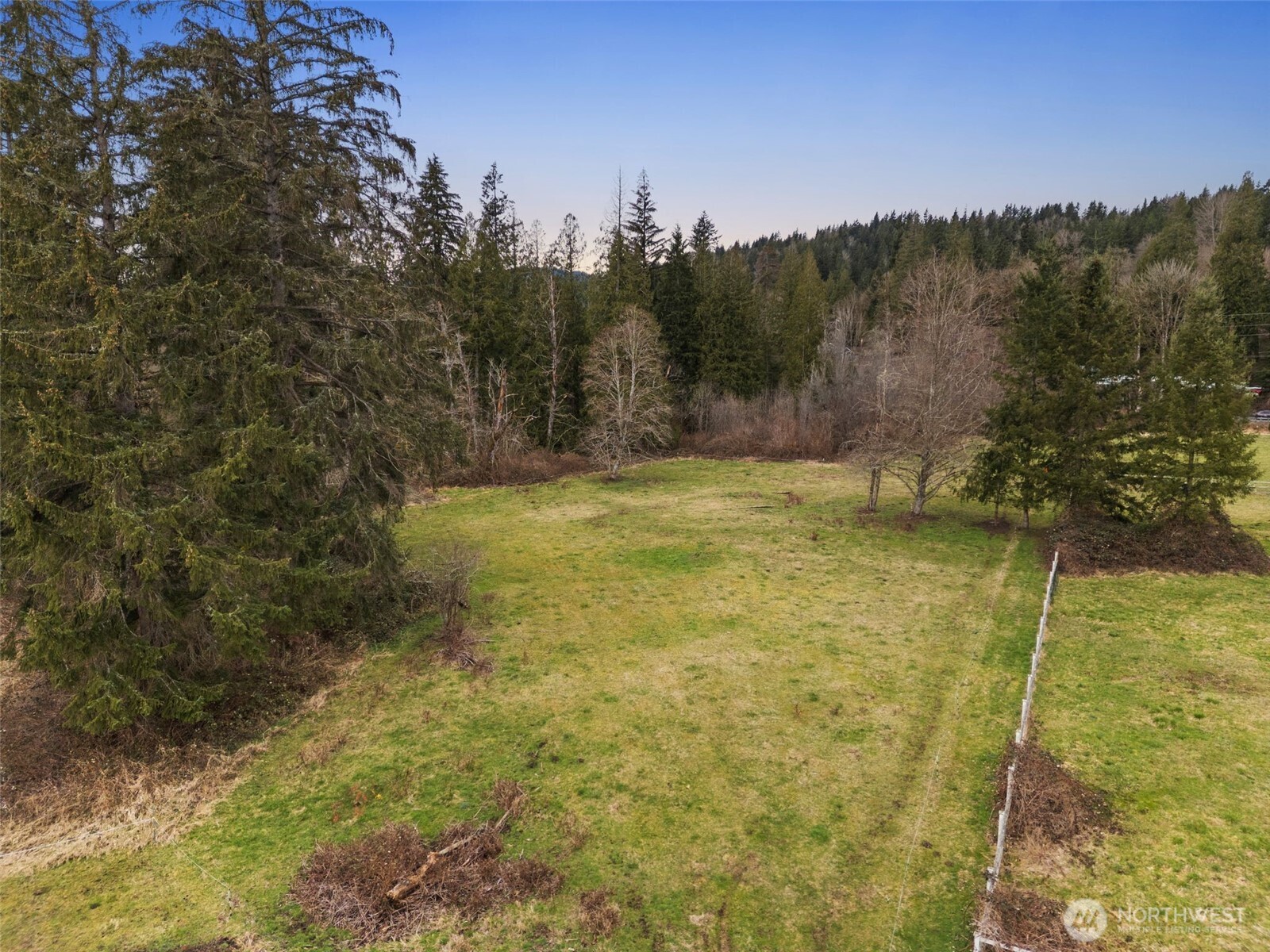 Listing images