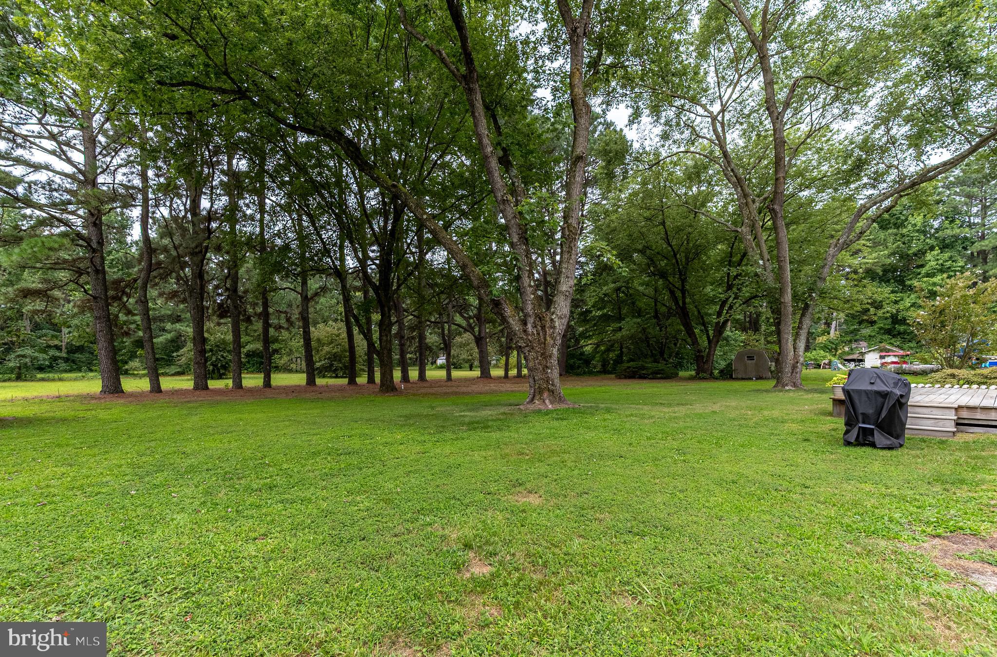 Listing images