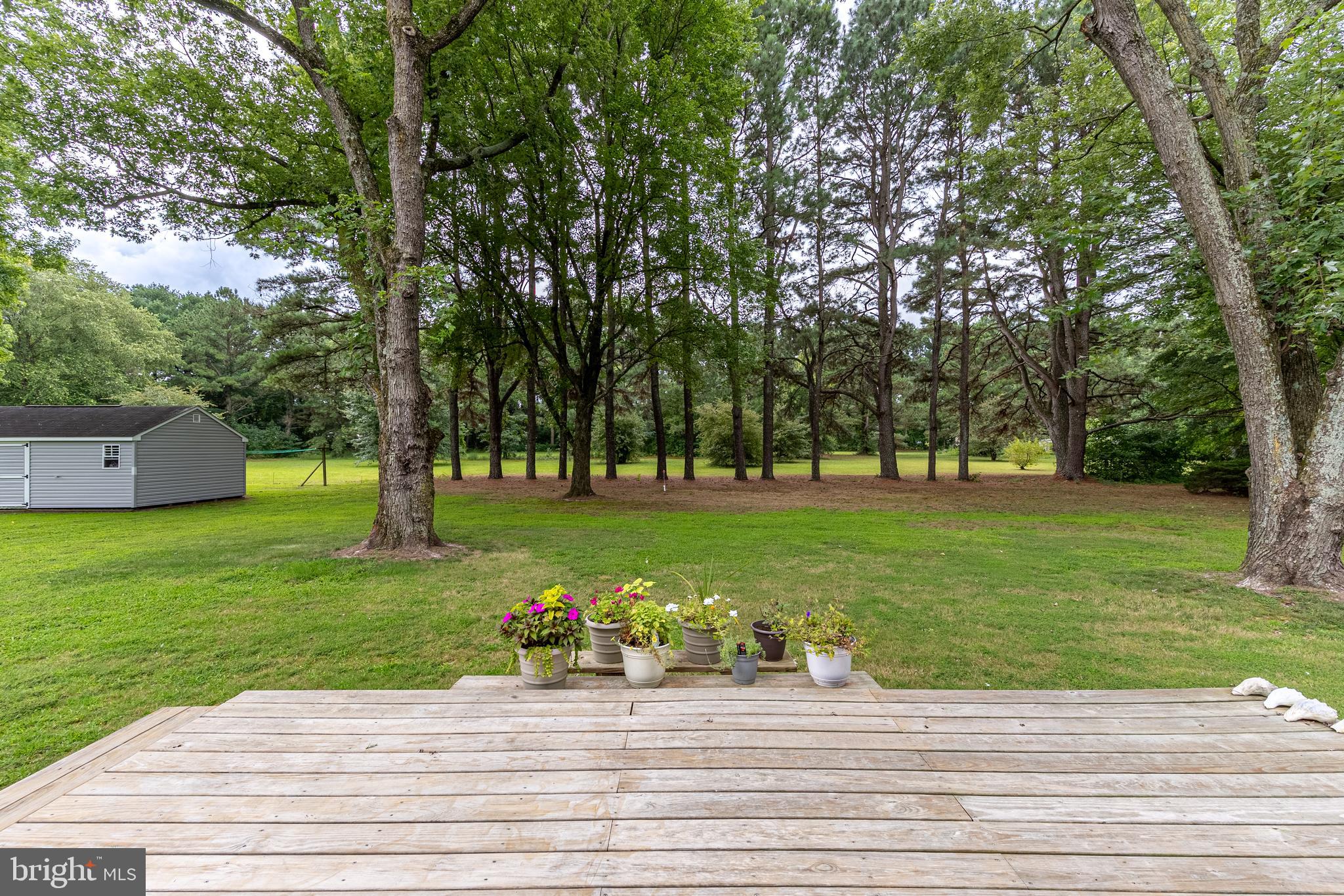 Listing images