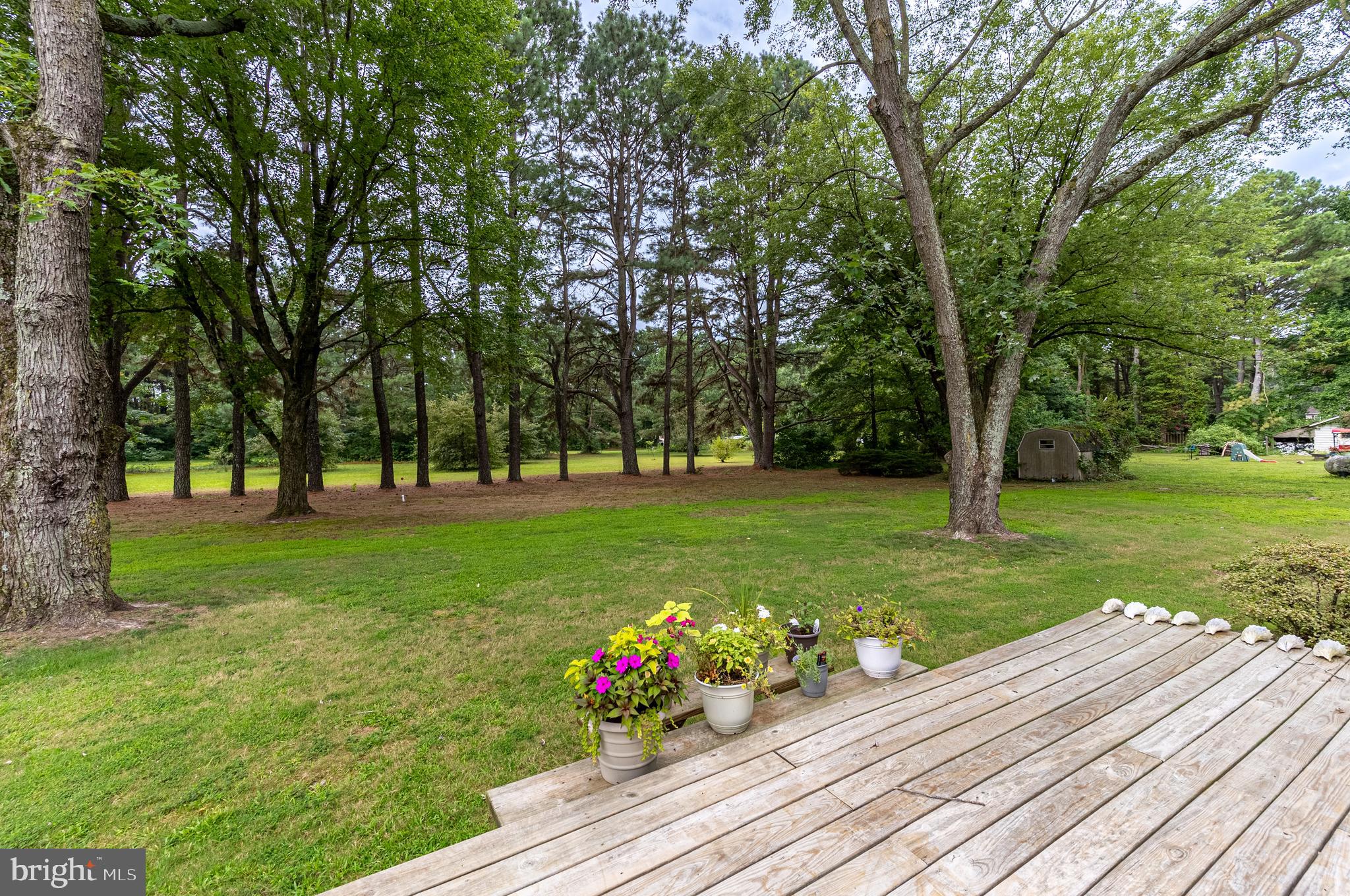 Listing images
