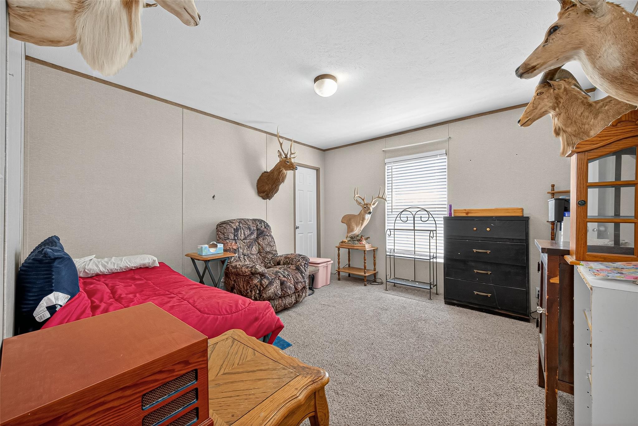 Listing images