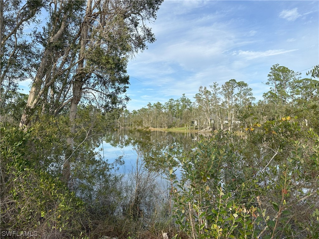 Listing images