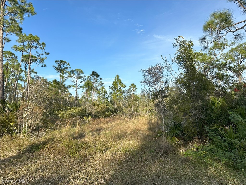 Listing images