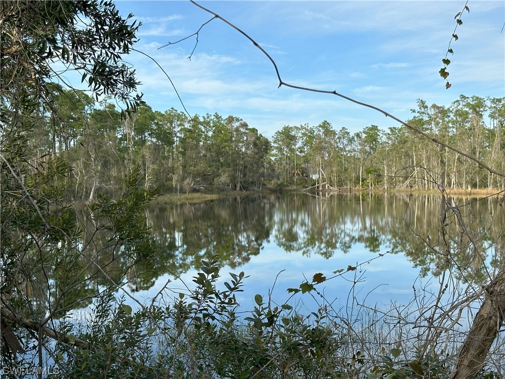 Listing images
