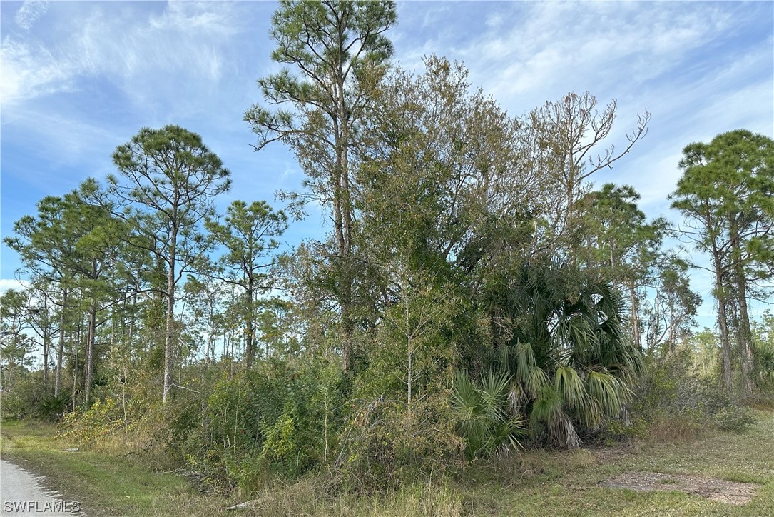 Listing images