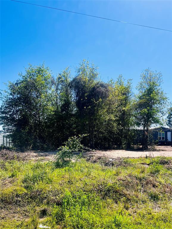 Listing images