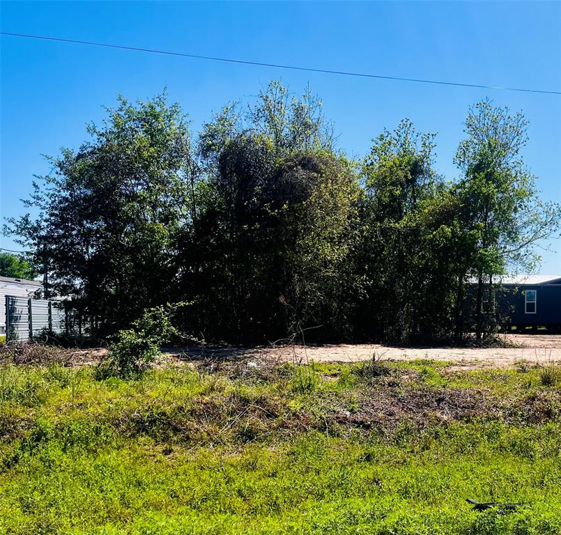 Listing images