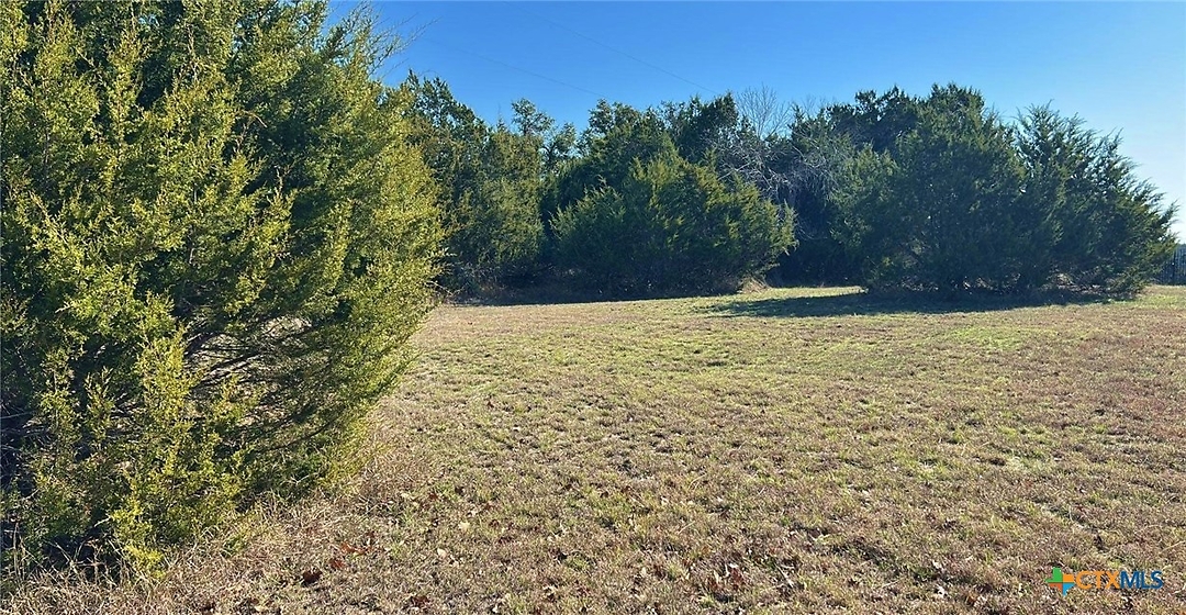 Listing images