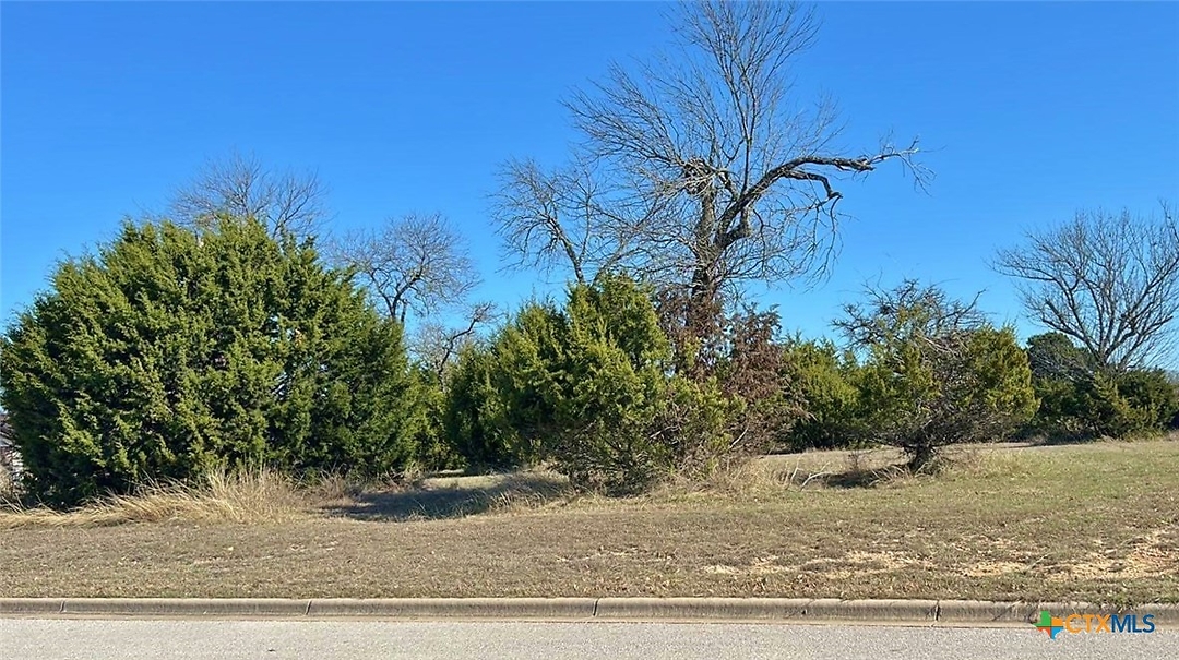 Listing images