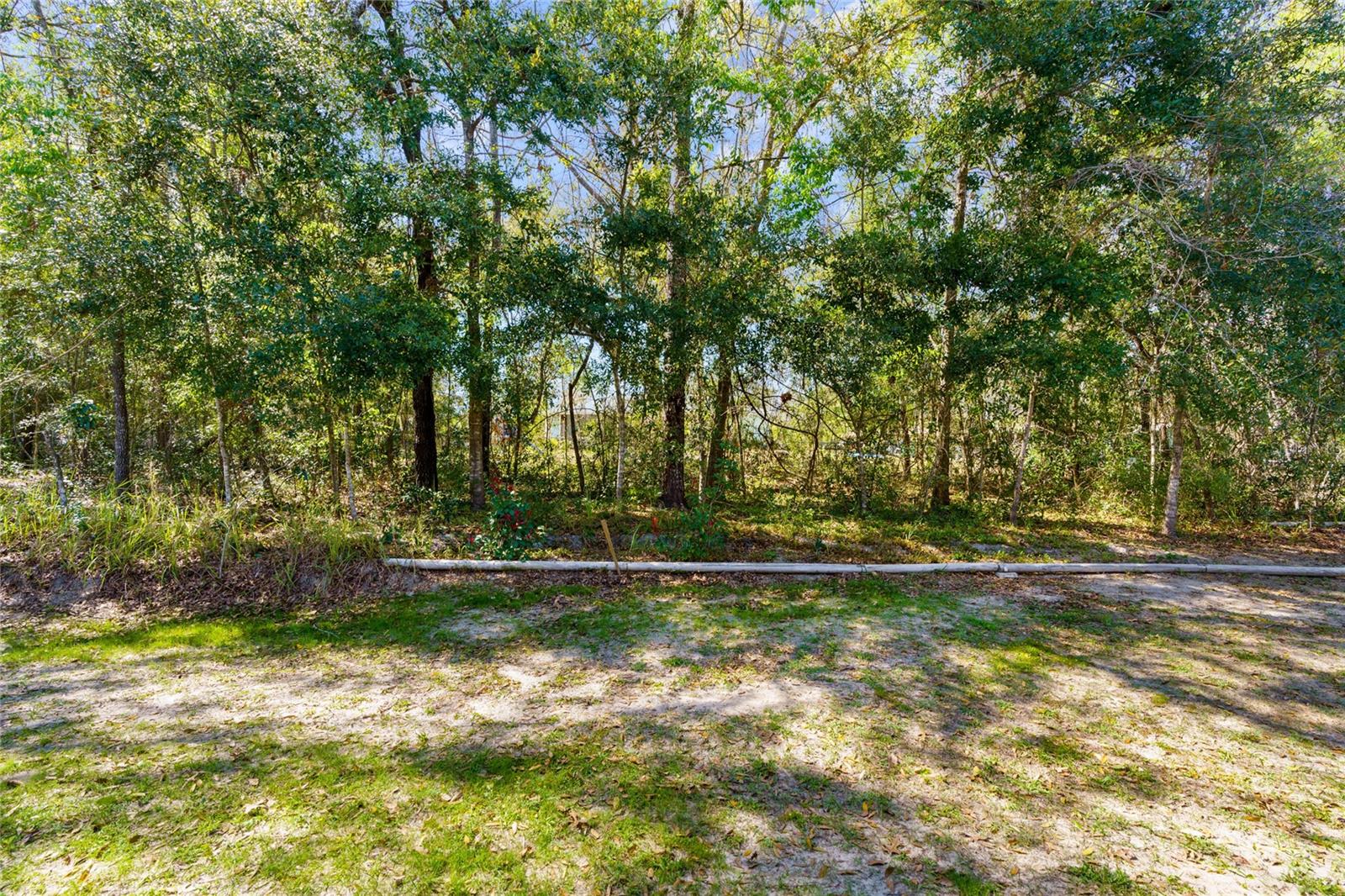 Listing images