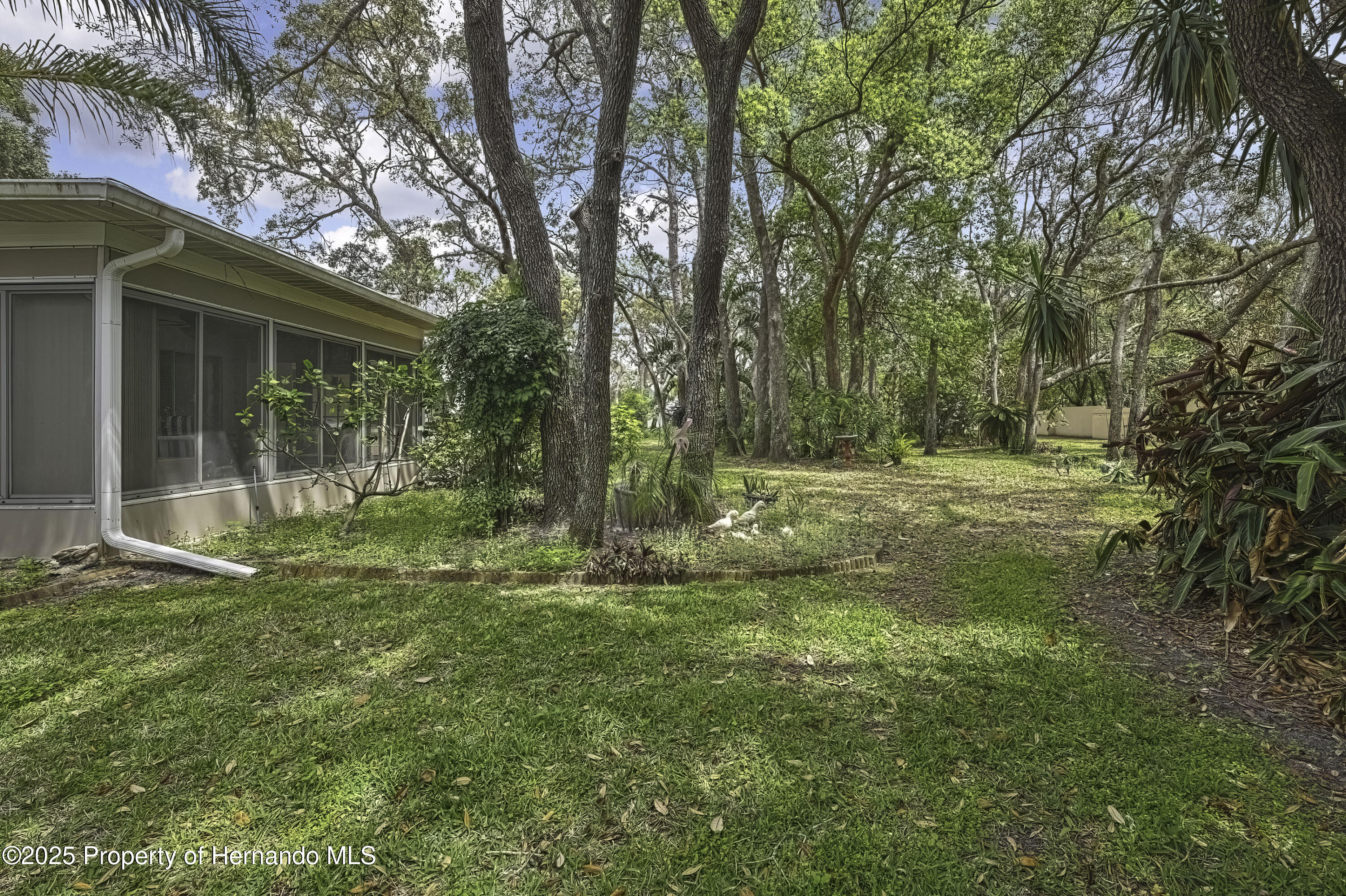 Listing images