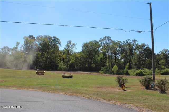 7259 Deville Estates Drive, Deville, LA 71328 — photo 3