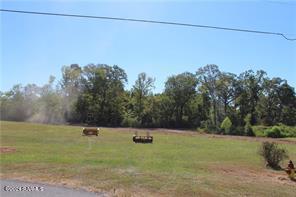 7265 Deville Estates Drive, Deville, LA 71328 — photo 3