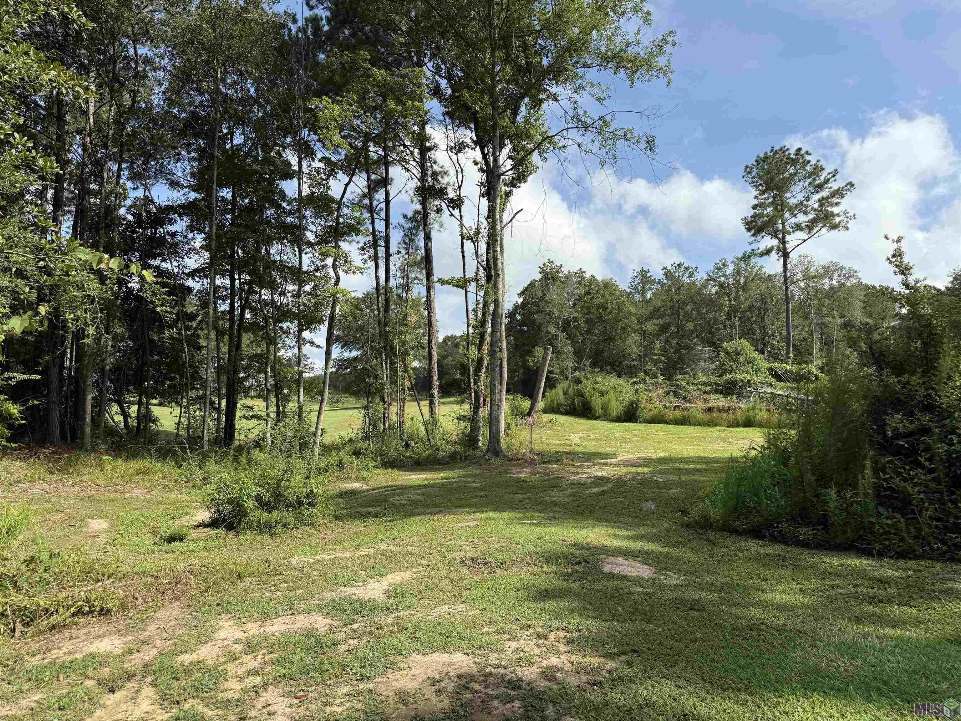 401 Montgomery Road, Summit, MS 39666 — photo 3