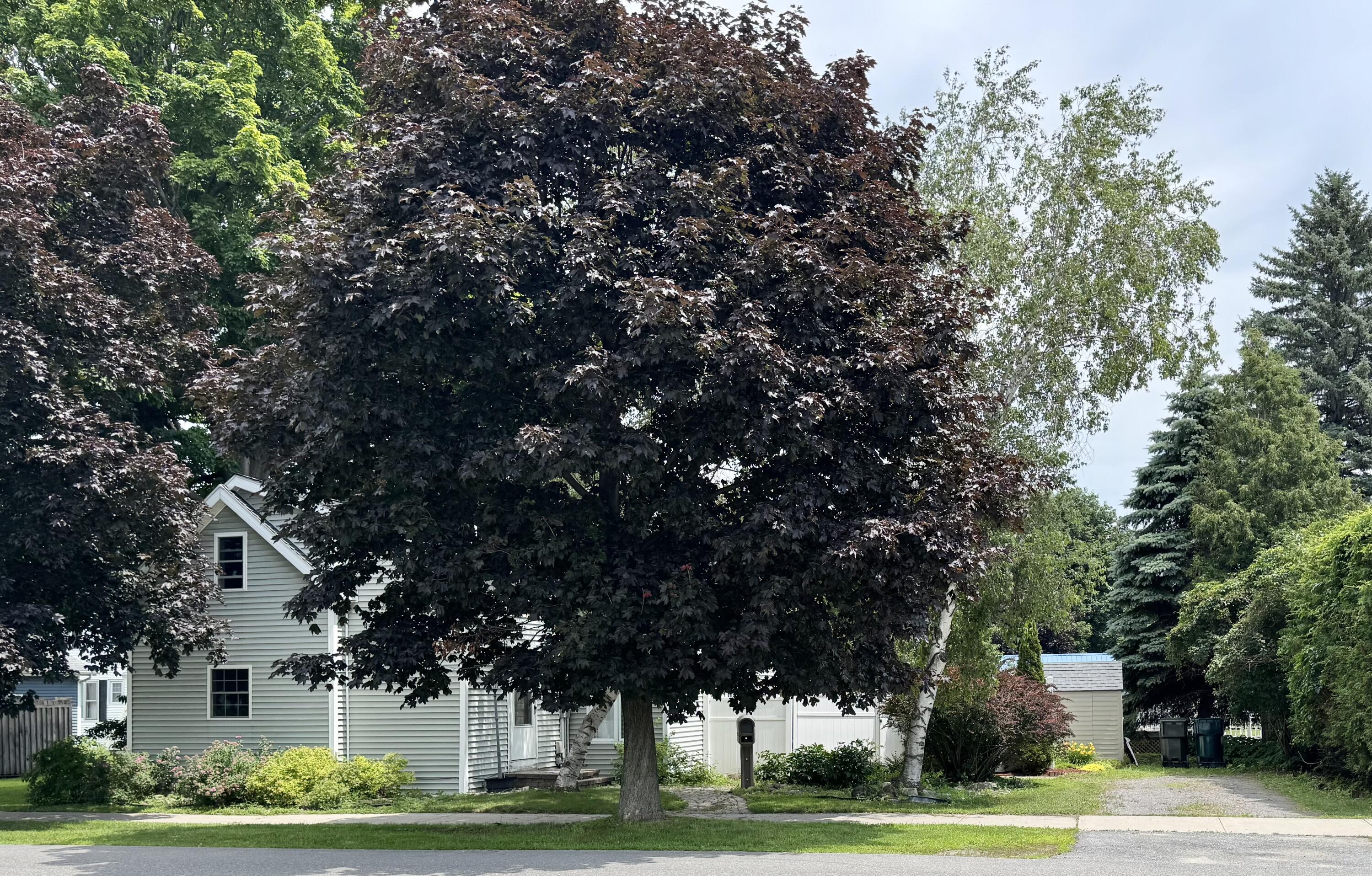 55 Maple Street, Rouses Point, NY 12979 — photo 2