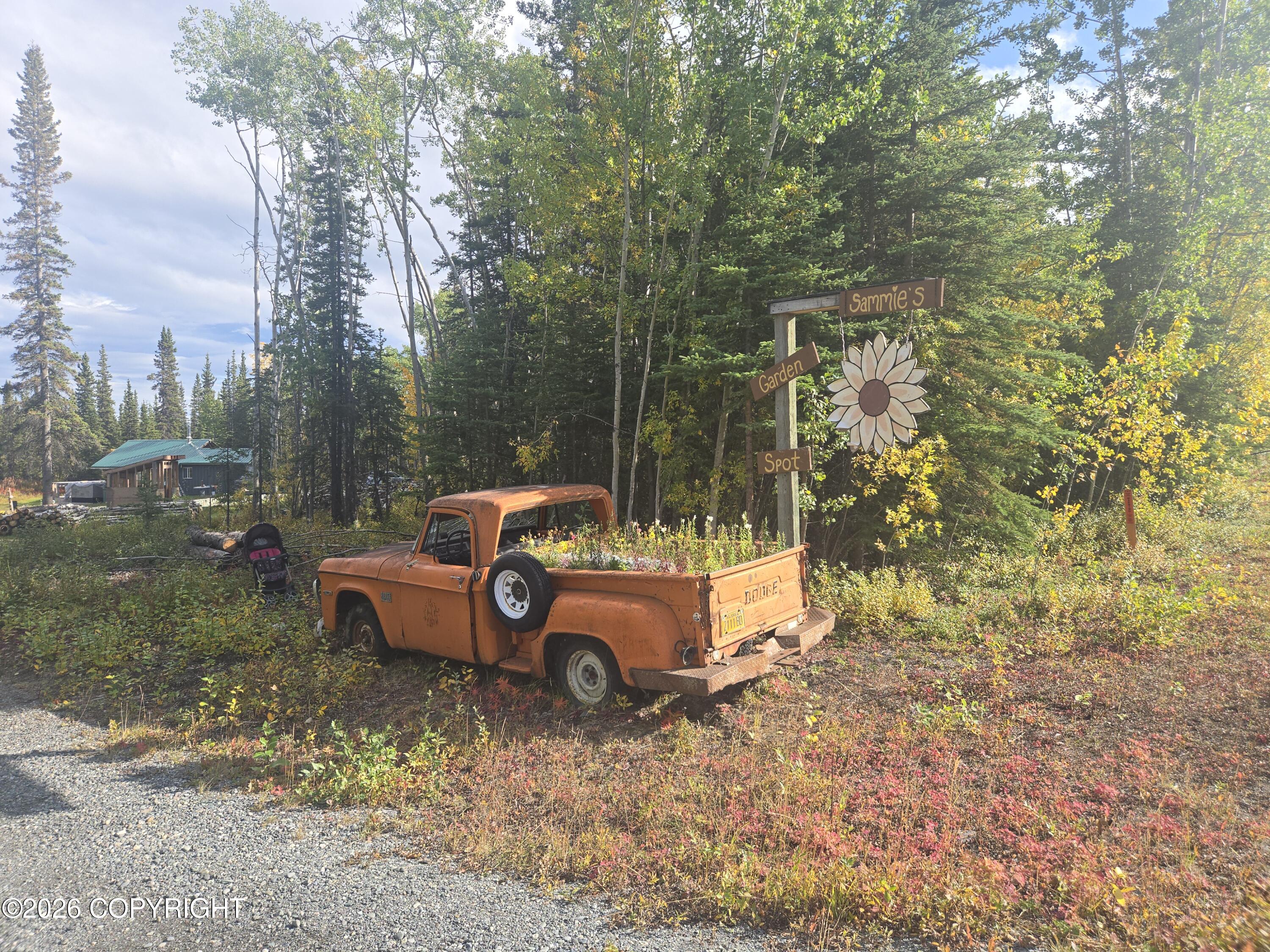 Mile 91.5 Richardson Highway — photo