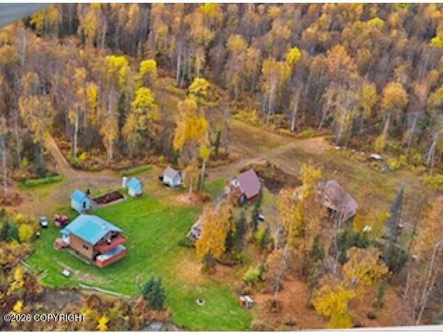 Mile 23 Yentna River — photo