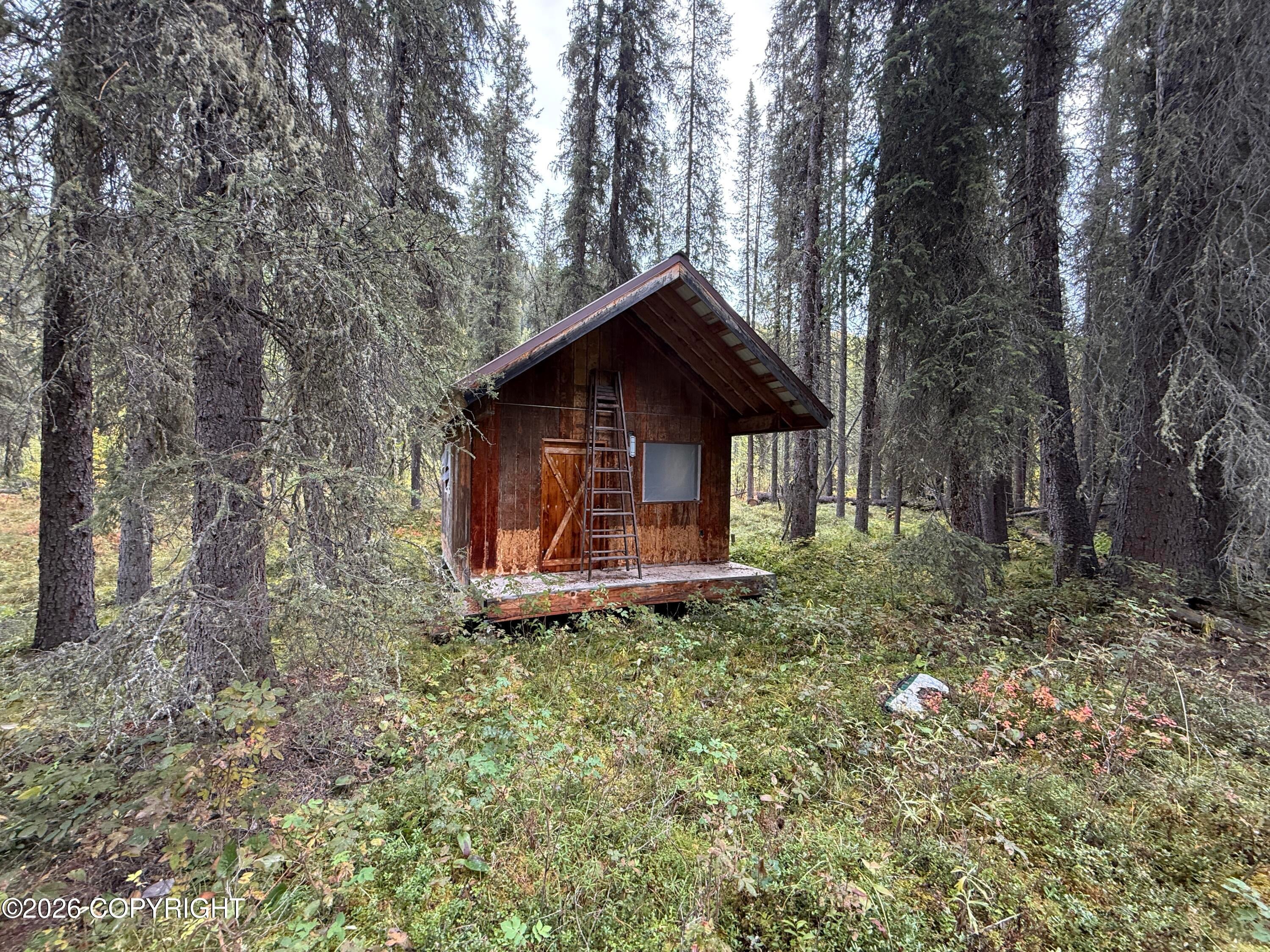 0341 Plus Trail Only Suslositna Creek Trail — photo