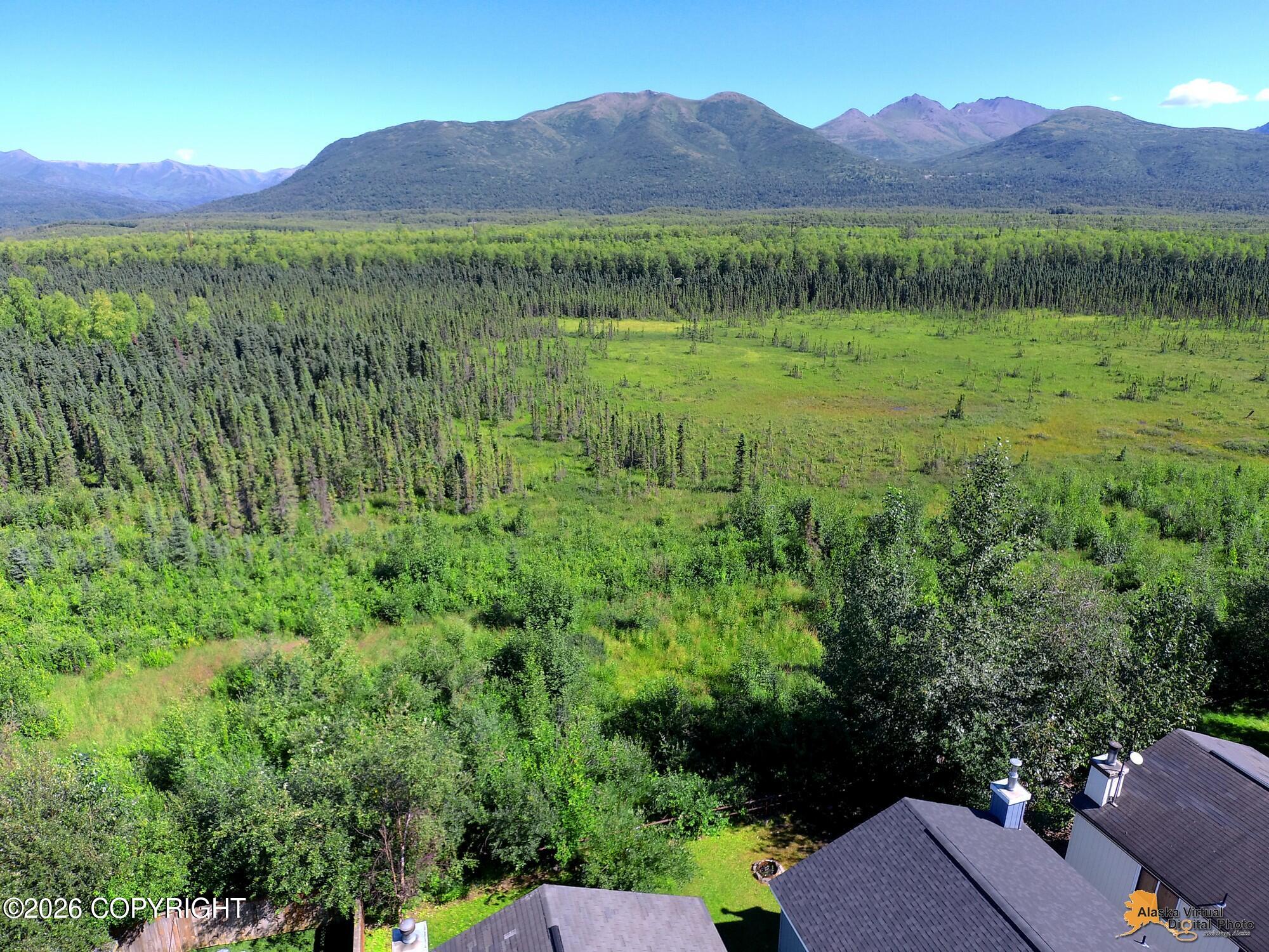 8736 Cross Pointe Loop, Anchorage, AK 99504 — photo 3