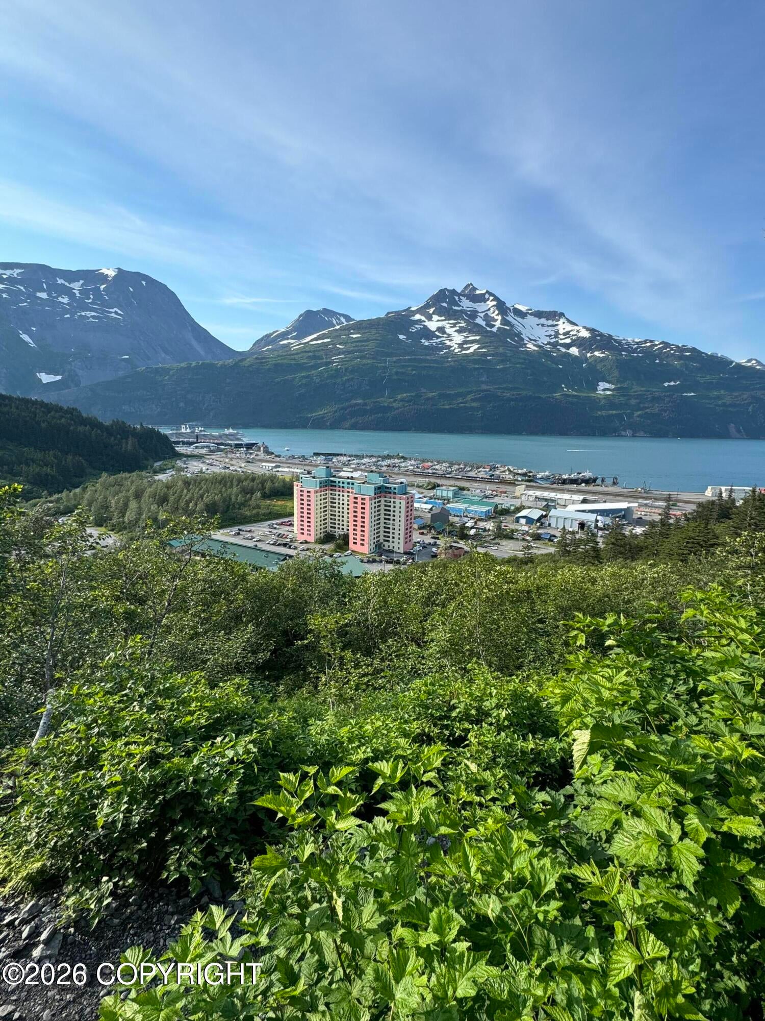 100 Kenai Street #1006 — photo