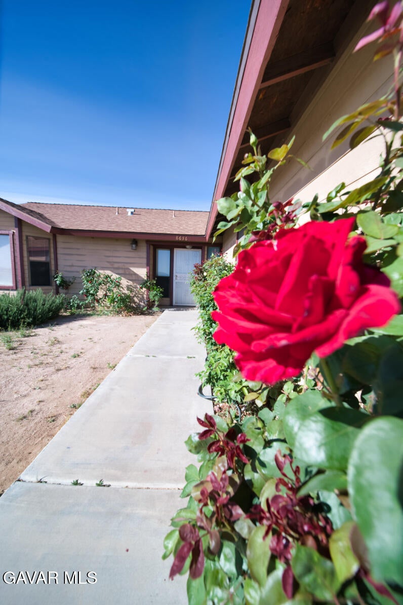 8636 Poppy Boulevard — photo