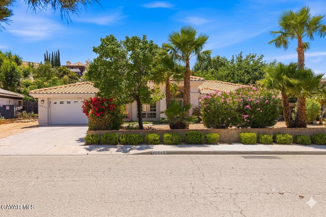 40543 Alabar Drive — photo