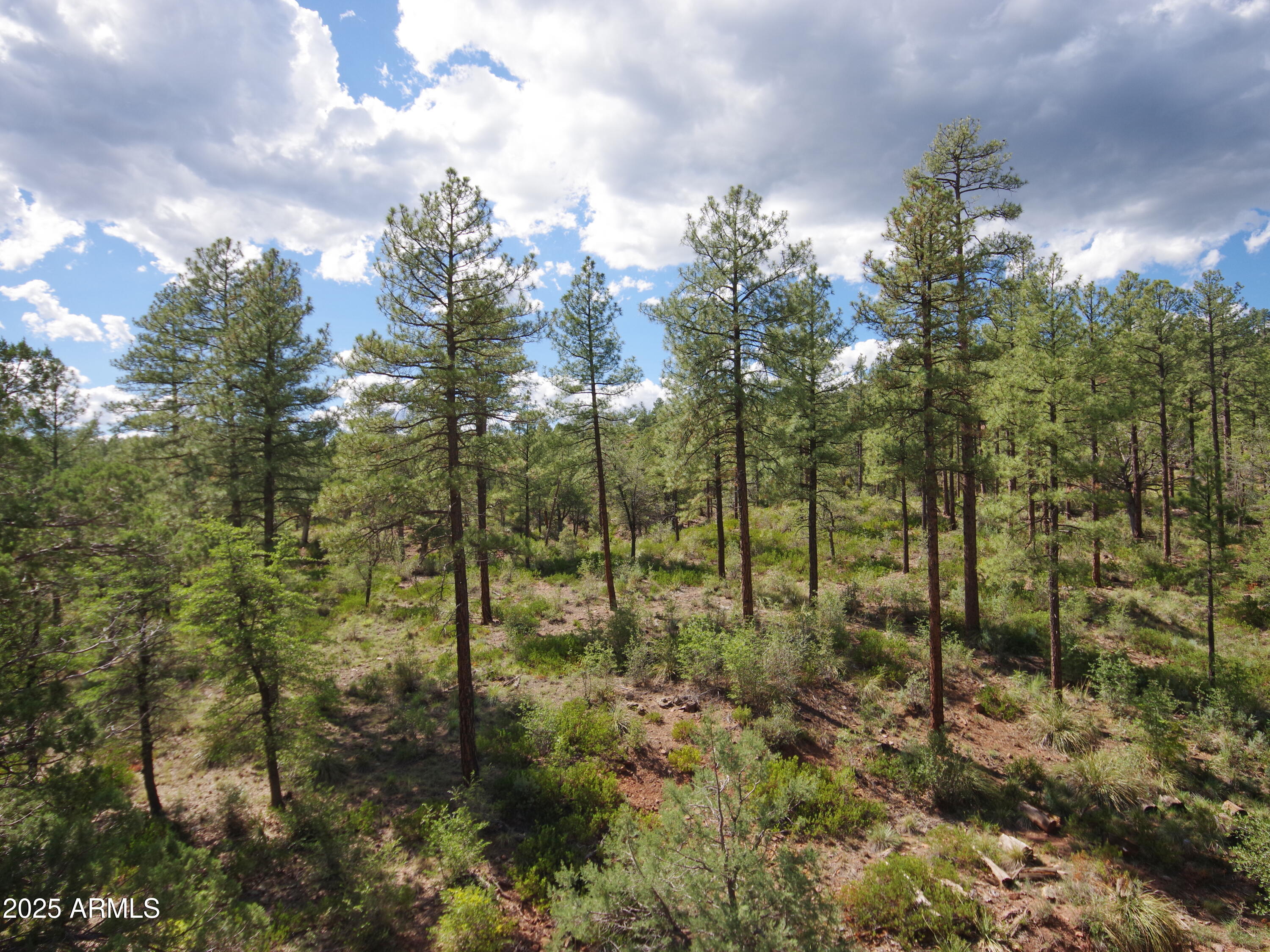 134 E Belluzzi Boulevard, Payson, AZ 85541 — photo 3