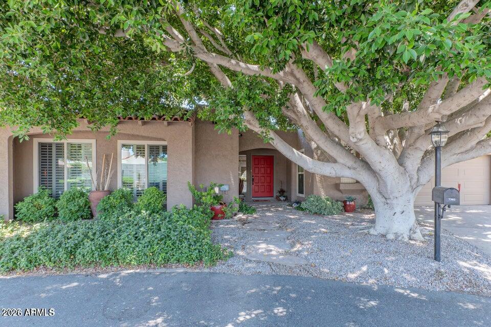 7302 E Rose Lane — photo