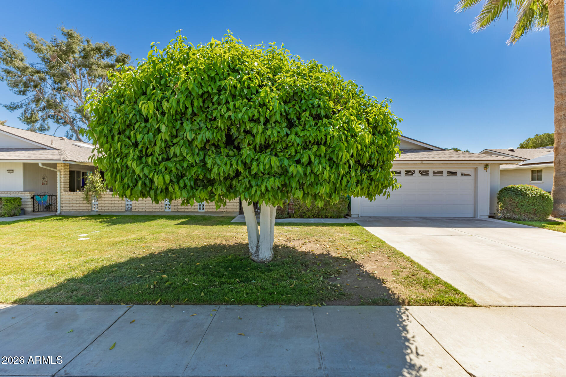 10731 W Salem Drive — photo