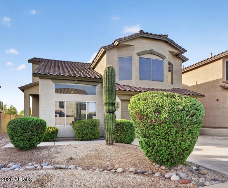 7474 E Christmas Cholla Drive — photo