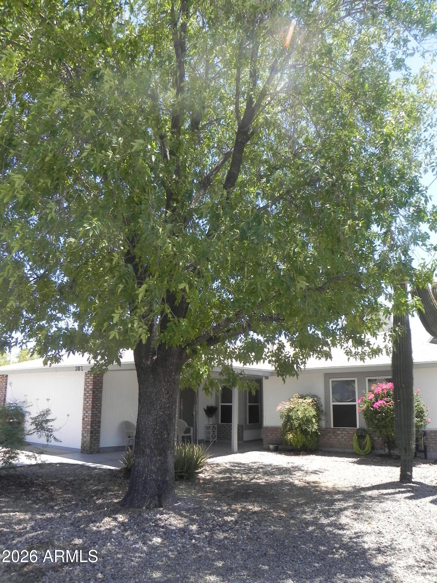 307 W Taro Lane — photo