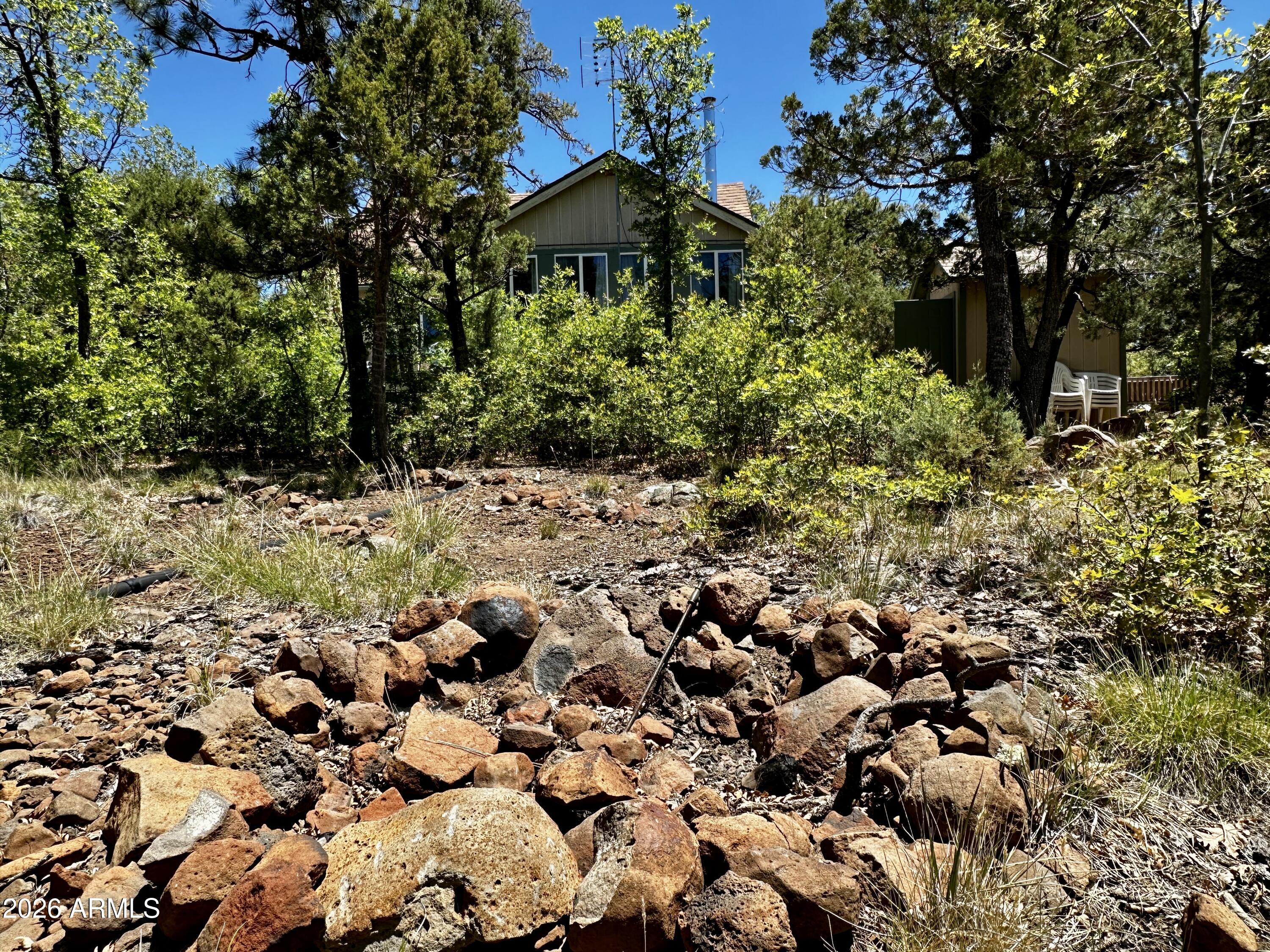10810 Tanager — photo