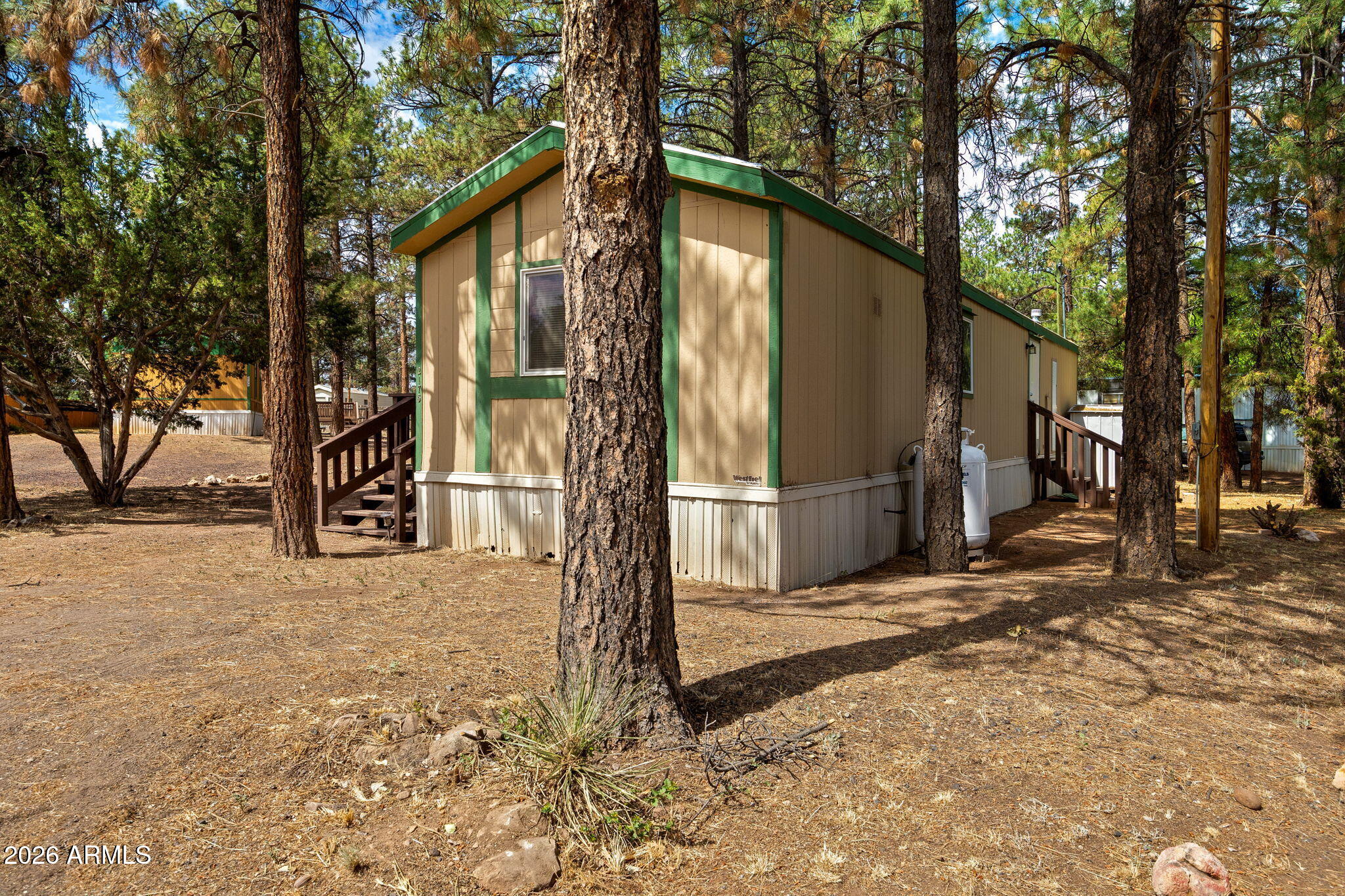 2175 Ruby Lane, Overgaard, AZ 85933 — photo 3