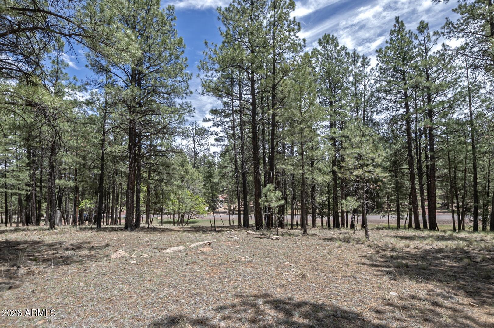 2132 W Pine Valley Road — photo