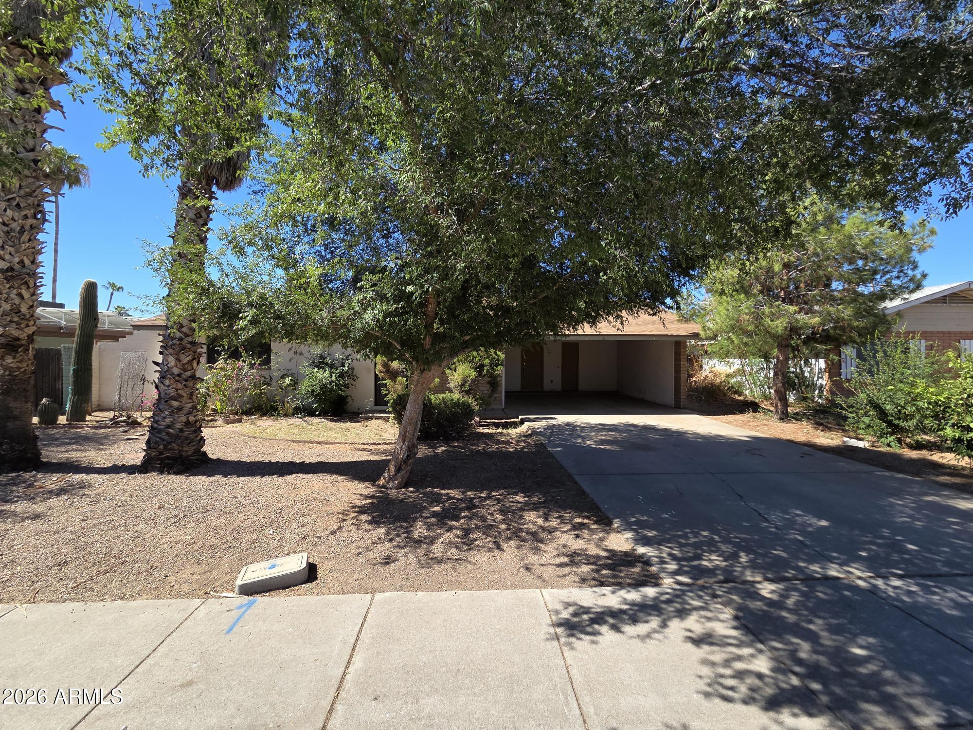 2217 W Dahlia Drive — photo