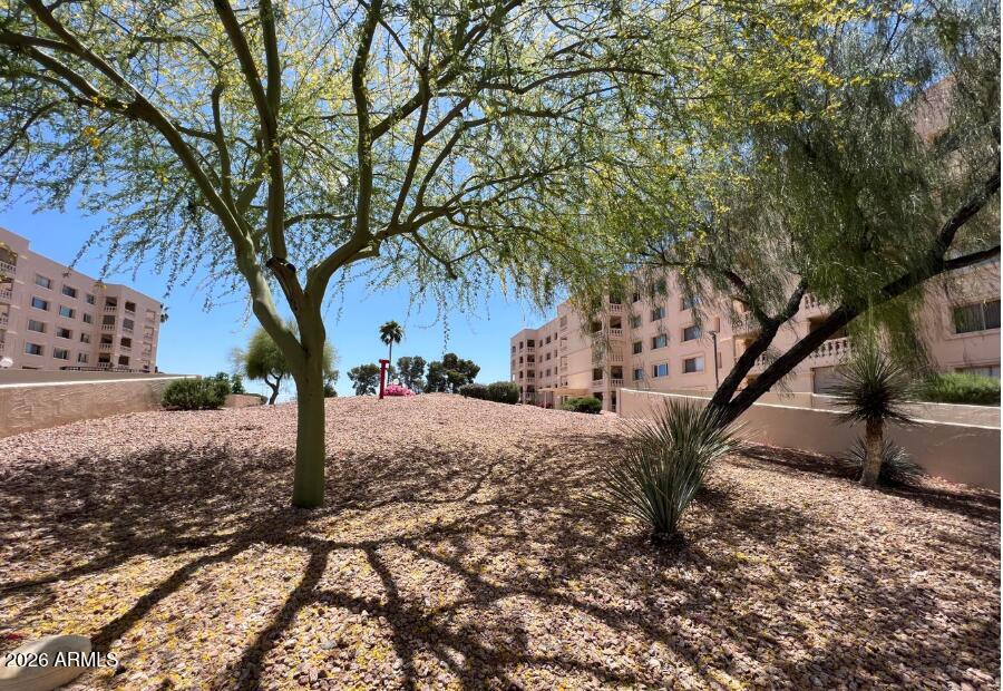 7910 E Camelback Road 110 — photo