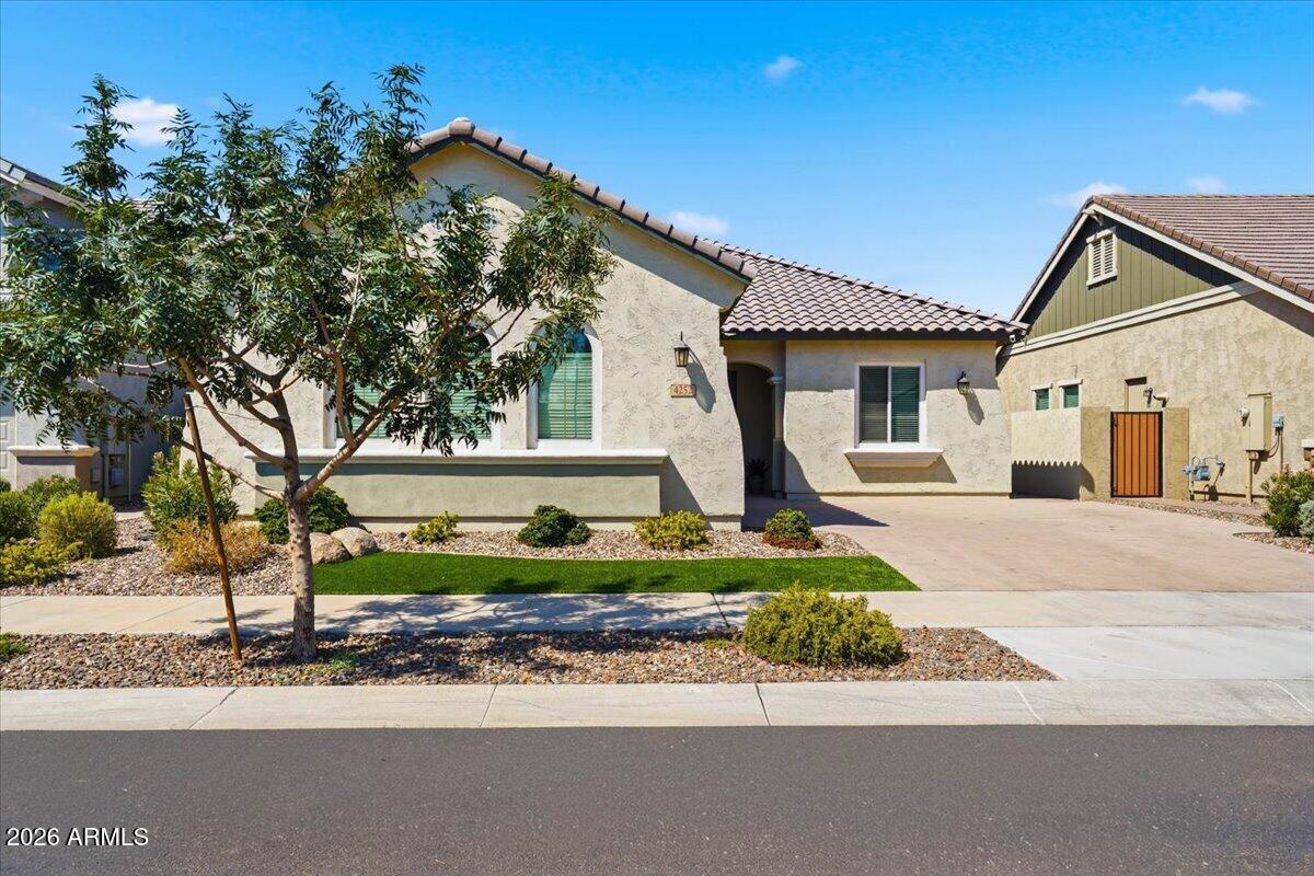 4252 E John Street, Gilbert, AZ 85295 — photo 3