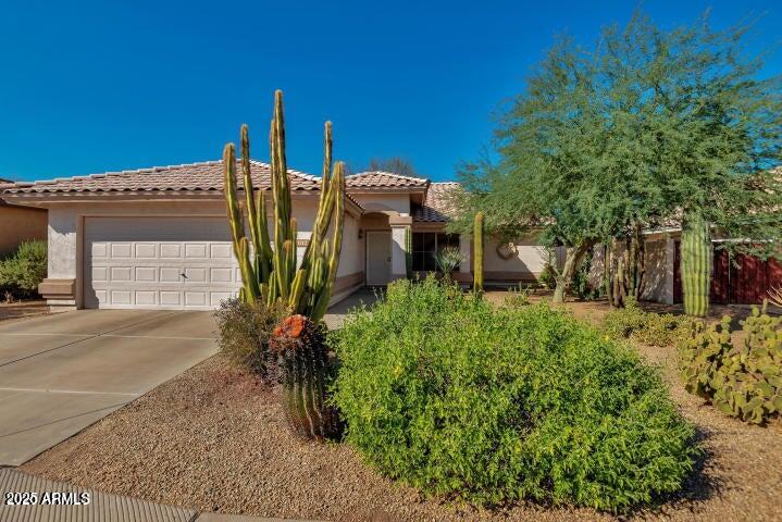 1712 W Sparrow Drive — photo