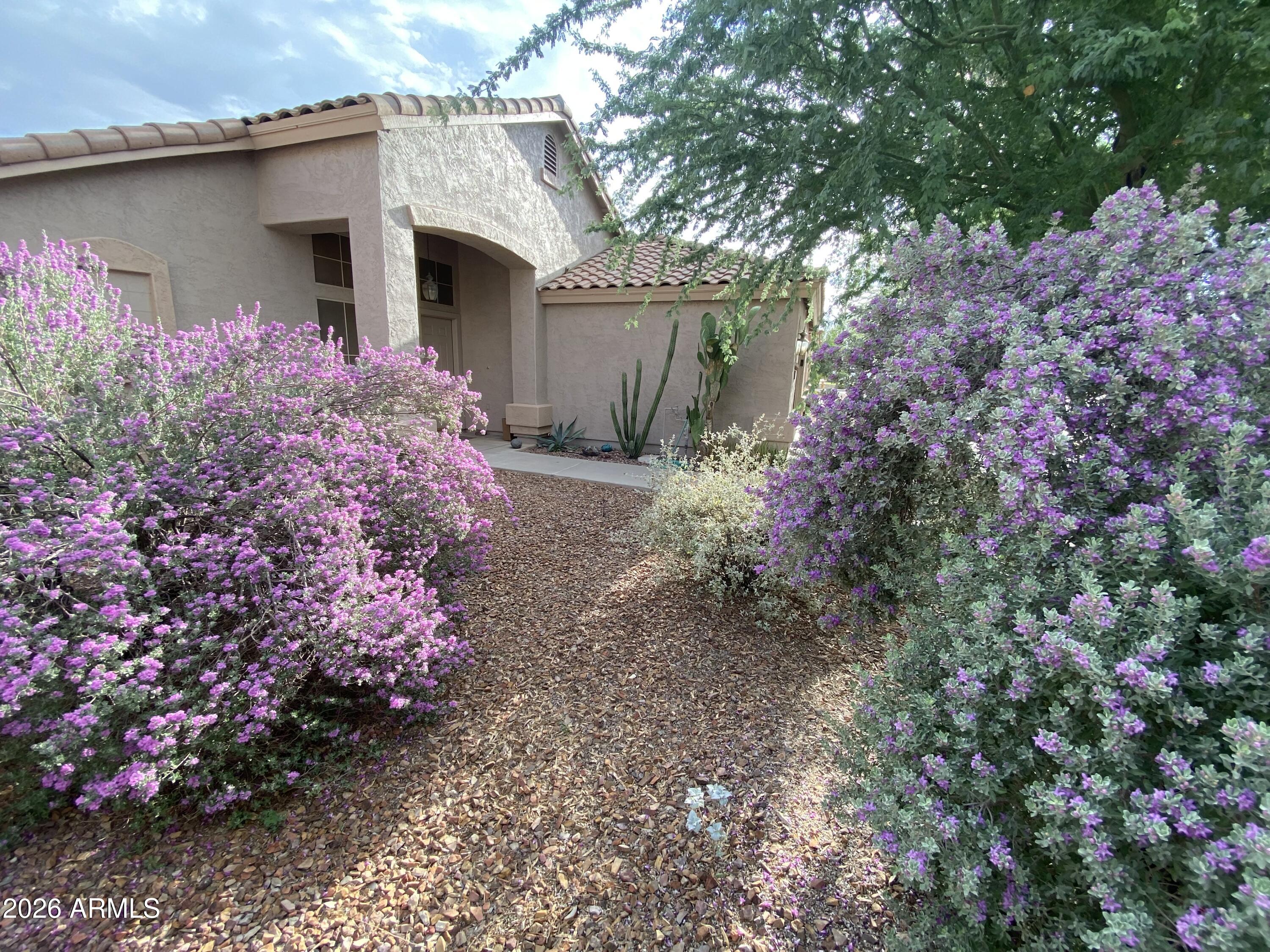 147 E Palo Blanco Way — photo