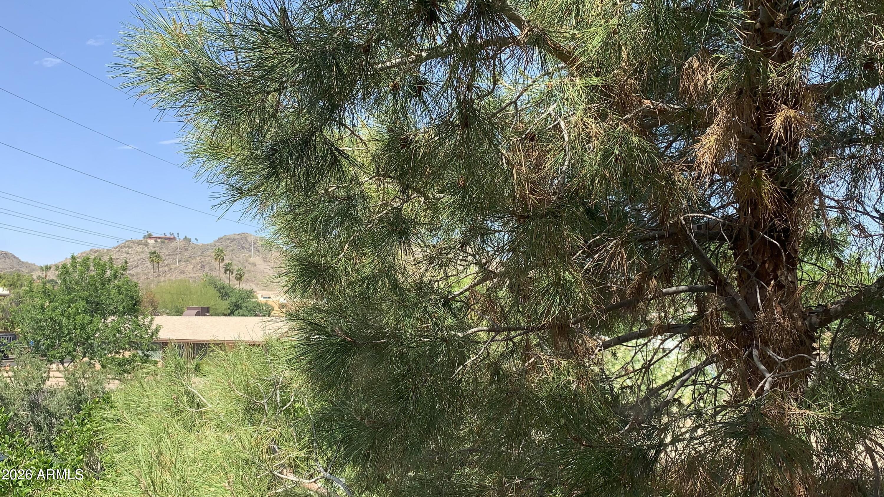 10410 N Cave Creek Road 2100 — photo