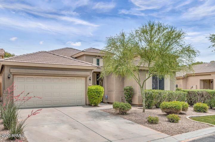 1167 N Cholla Street — photo