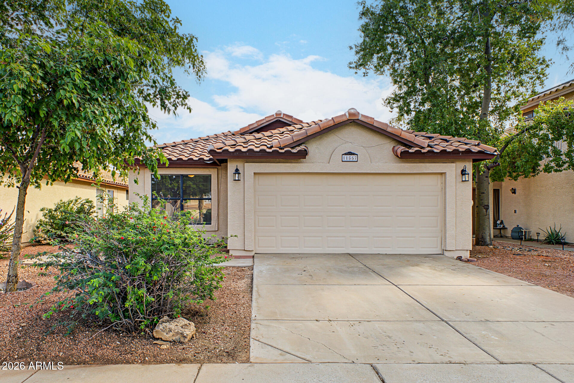 11557 W Olive Drive — photo