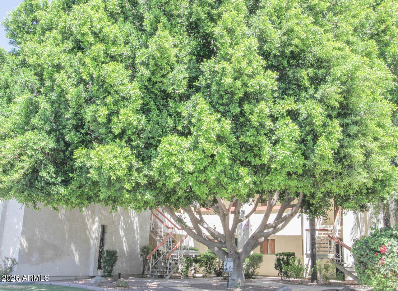 3119 W Cochise Unit 138 — photo