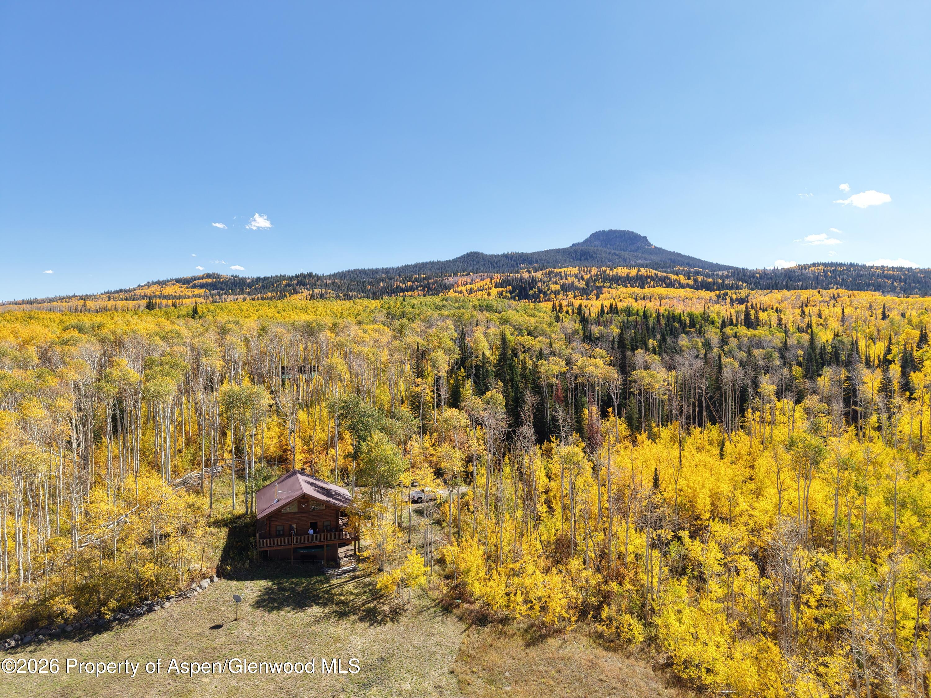 943 Routt Forest Drive — photo