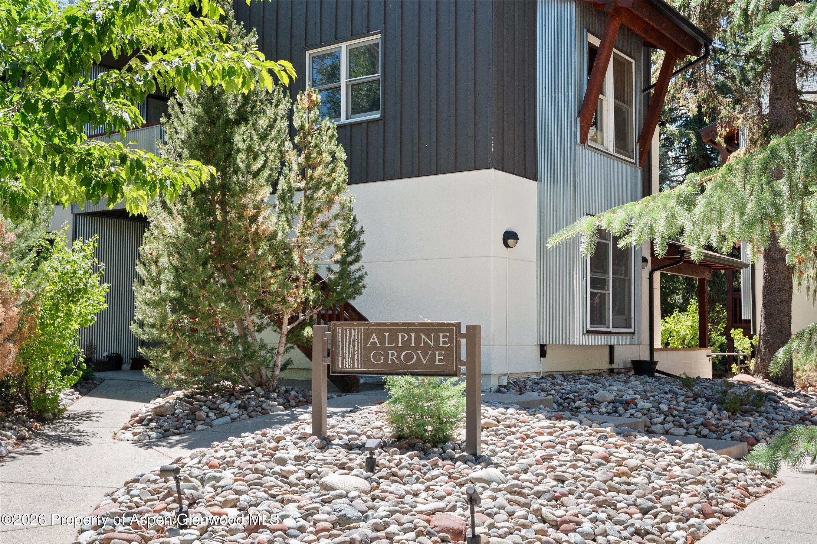 414 Aspen Airport Business C — photo