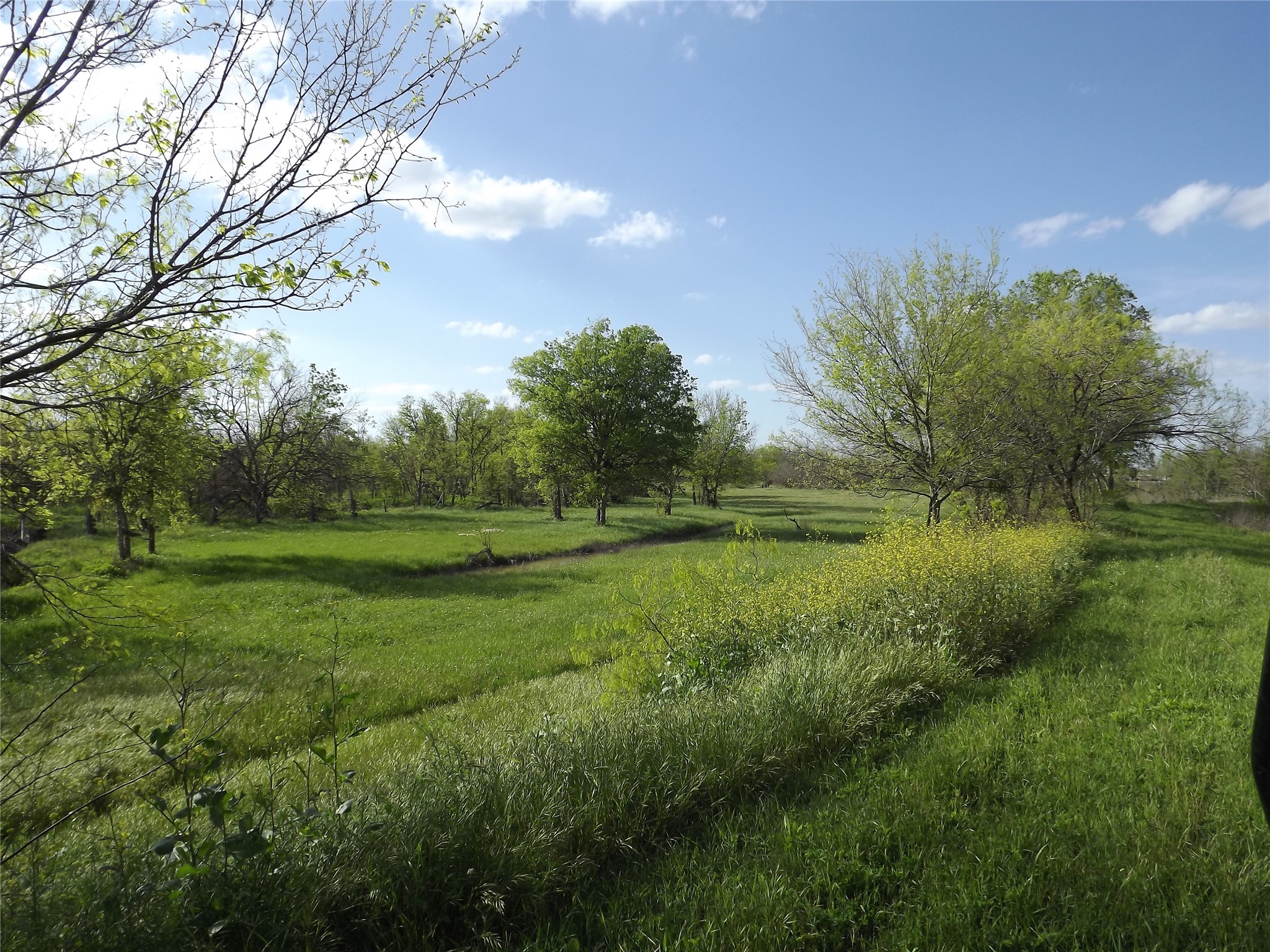 11248 Tom Sassman Road, Austin, TX 78747 — photo 2