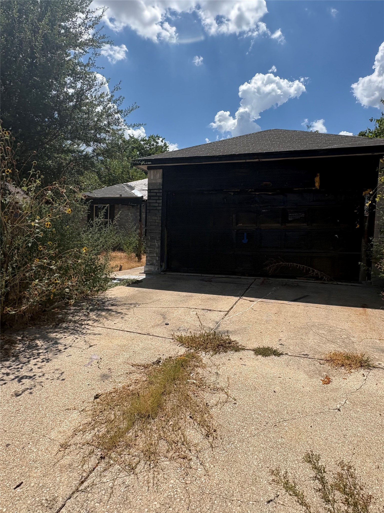 205 Barberry Dr — photo