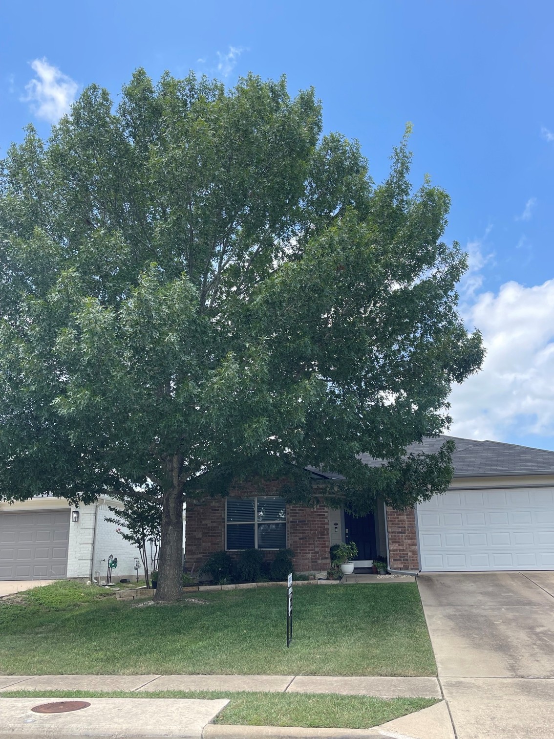 280 Spruce Drive, Kyle, TX 78640 — photo 2